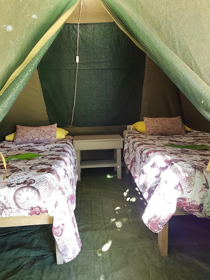 The Riverdeck Accommodation And Backpackers Найсне Экстерьер фото